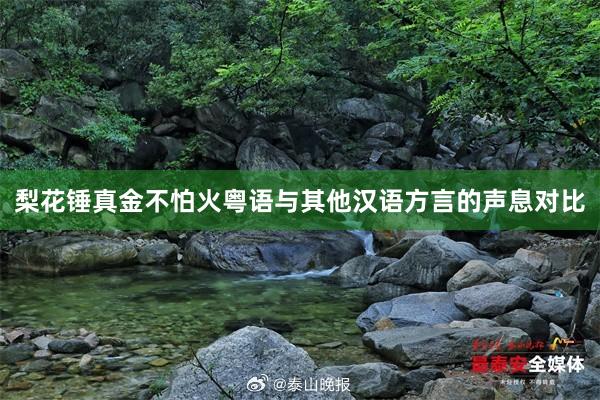 梨花锤真金不怕火粤语与其他汉语方言的声息对比