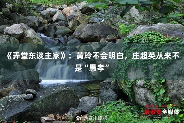 《弄堂东谈主家》：黄玲不会明白，庄超英从来不是“愚孝”