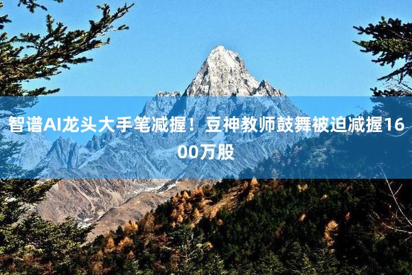 智谱AI龙头大手笔减握！豆神教师鼓舞被迫减握1600万股