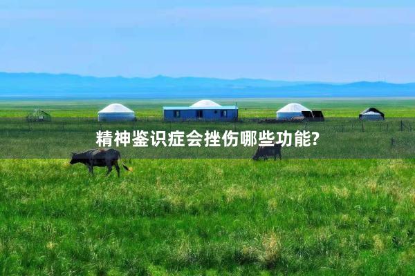 精神鉴识症会挫伤哪些功能?