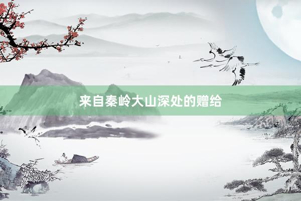 来自秦岭大山深处的赠给