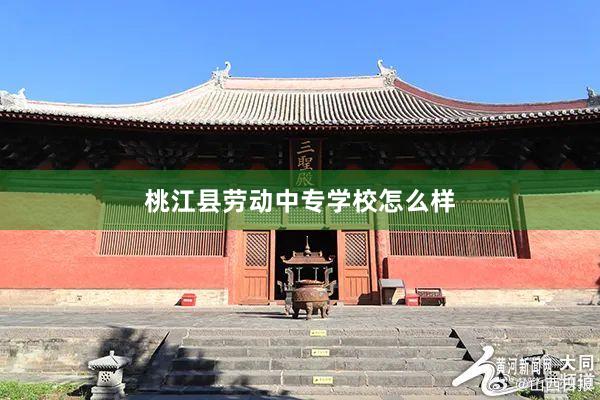 桃江县劳动中专学校怎么样