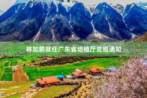 林如鹏就任广东省培植厅党组通知