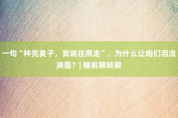 一句“种完麦子，我就往南走”，为什么让咱们泪流满面？| 睡前聊转眼