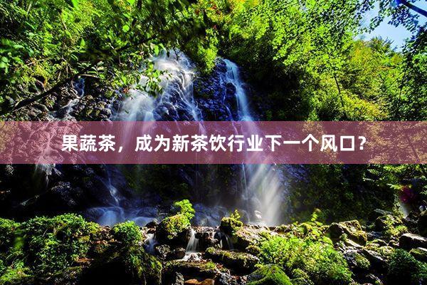 果蔬茶，成为新茶饮行业下一个风口？