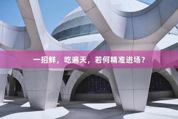 一招鲜，吃遍天，若何精准进场？