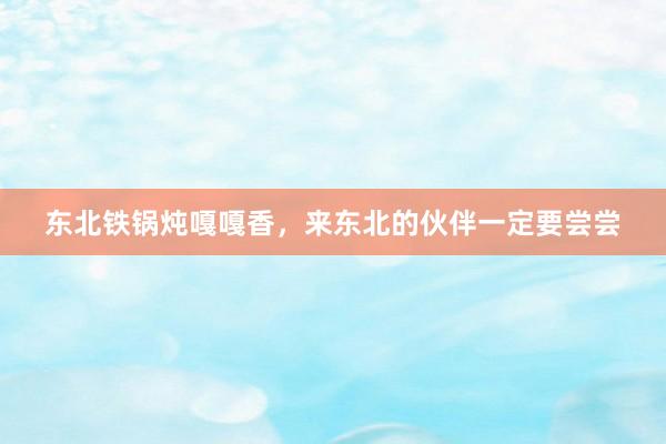 东北铁锅炖嘎嘎香，来东北的伙伴一定要尝尝